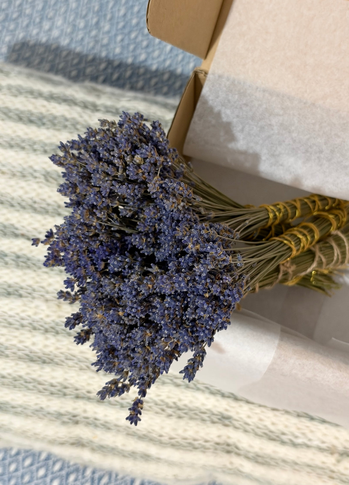 Ten lawendowy 24 cm