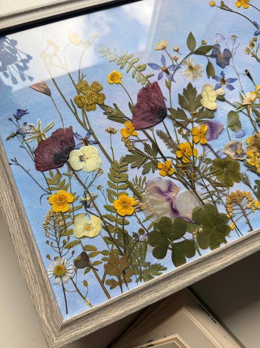 Oswojona dzikość 42x32