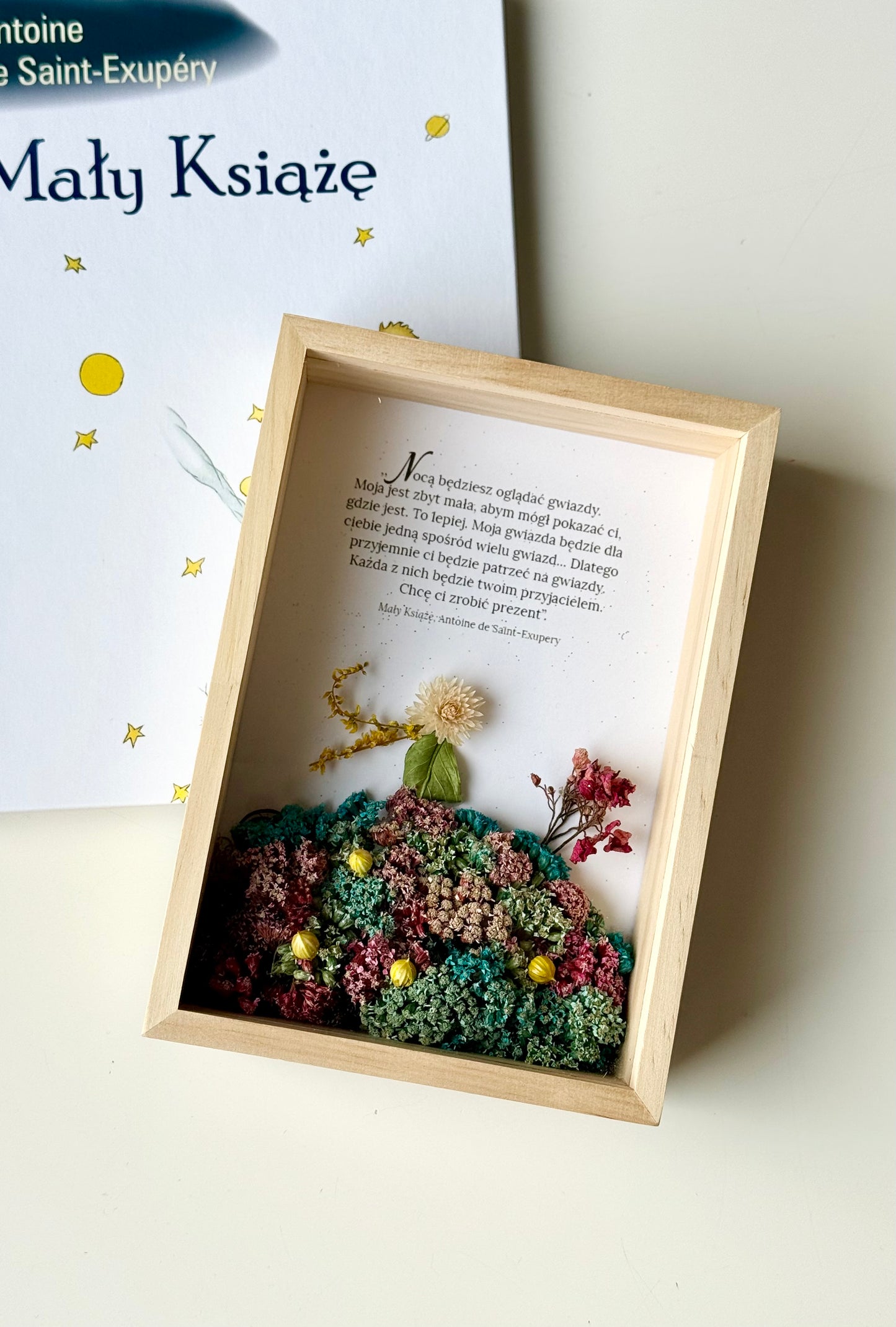 Mały Książę 12x17 wersja A